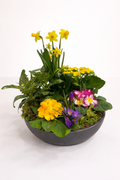 Composition florale
