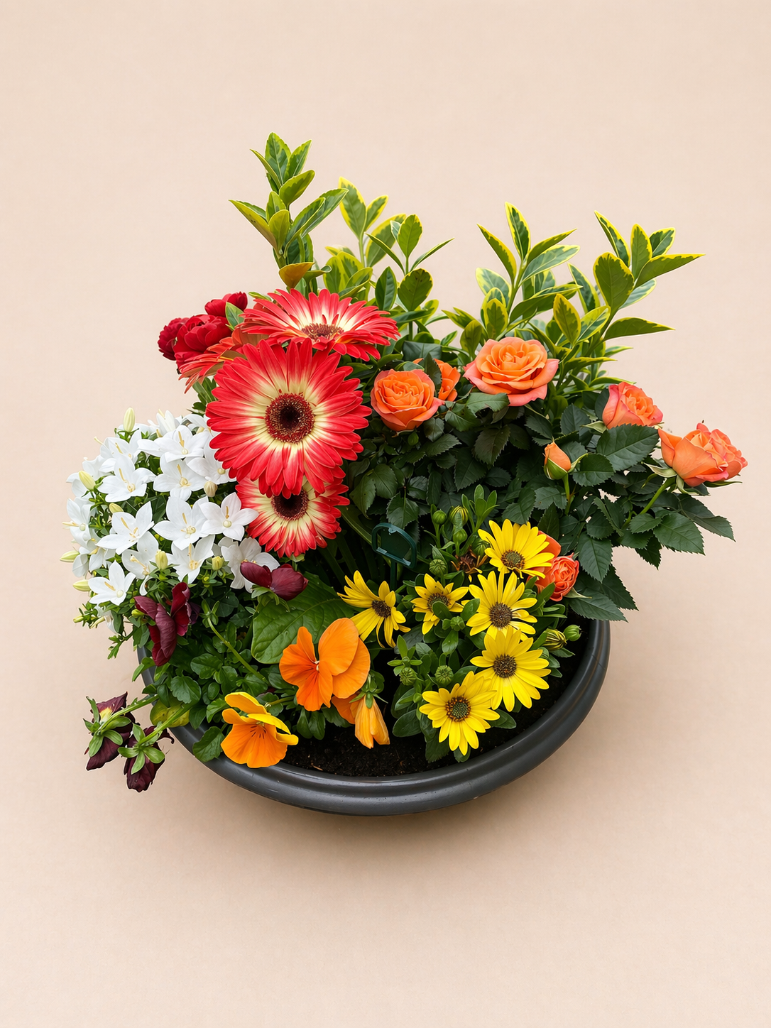 Jardinière colorée