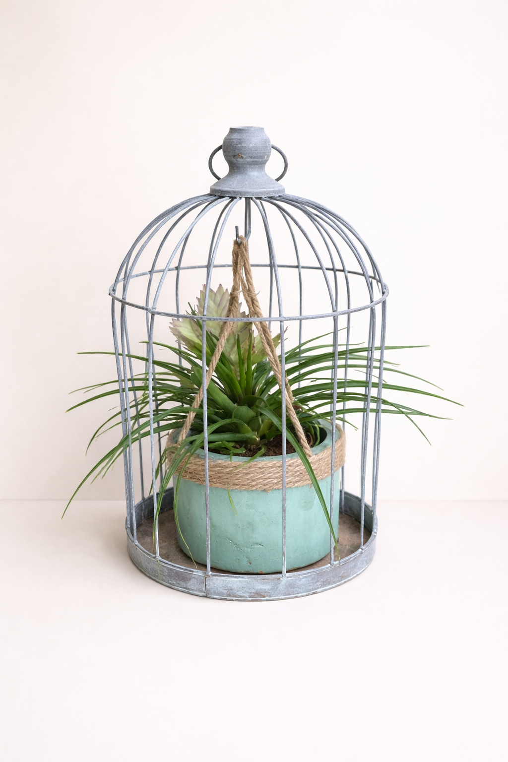 Plante Grasse en Cage Décorative Vintage