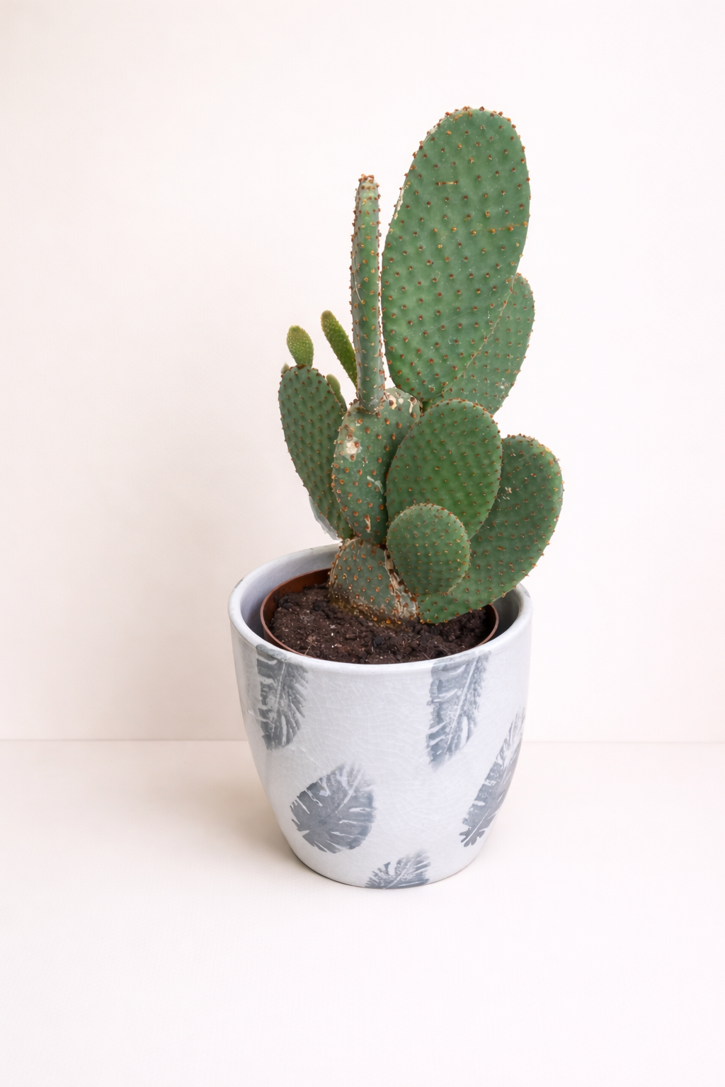 Cactus en Pot Décoratif Blanc