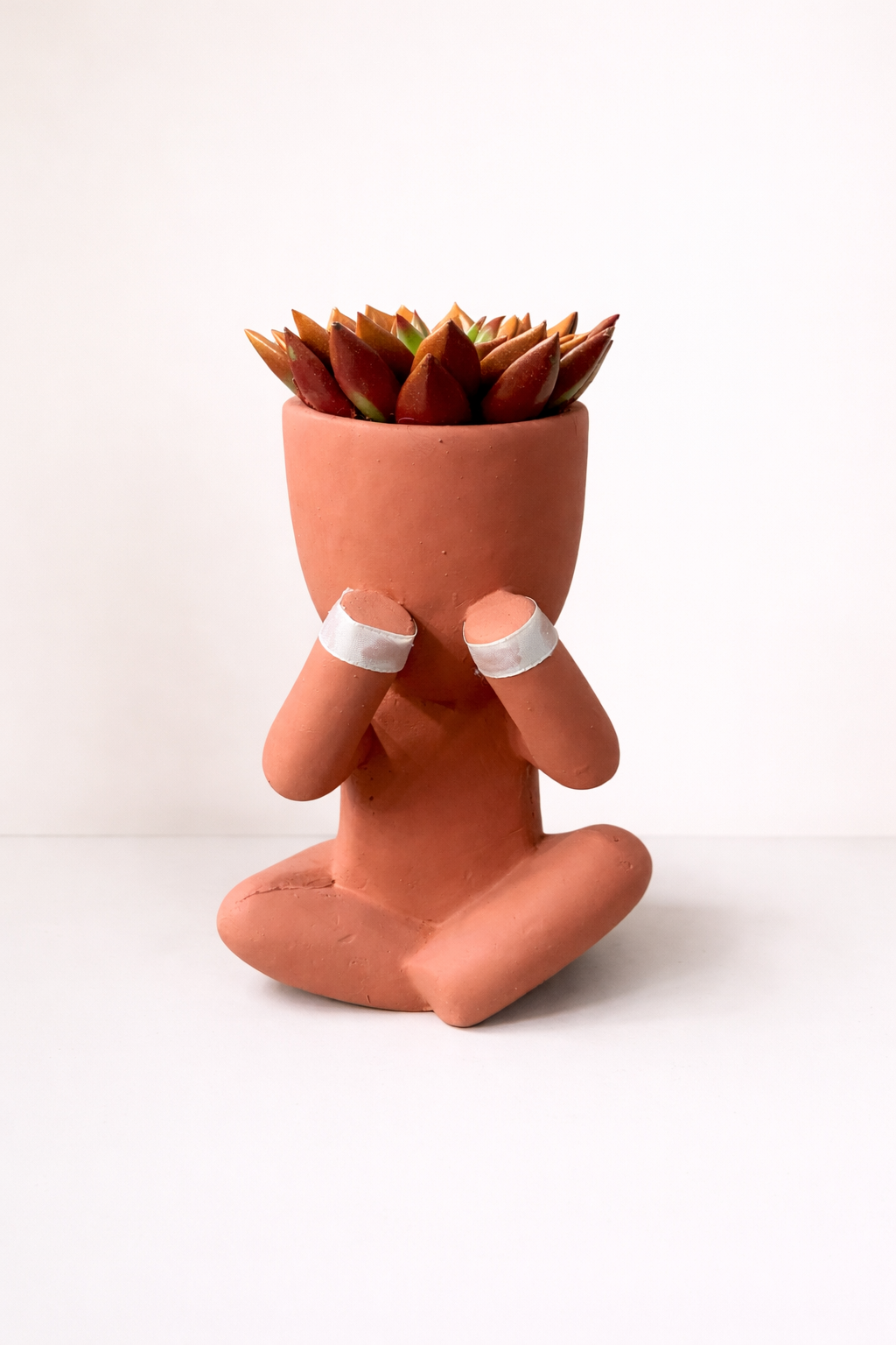 Planteur Méditant avec Succulente