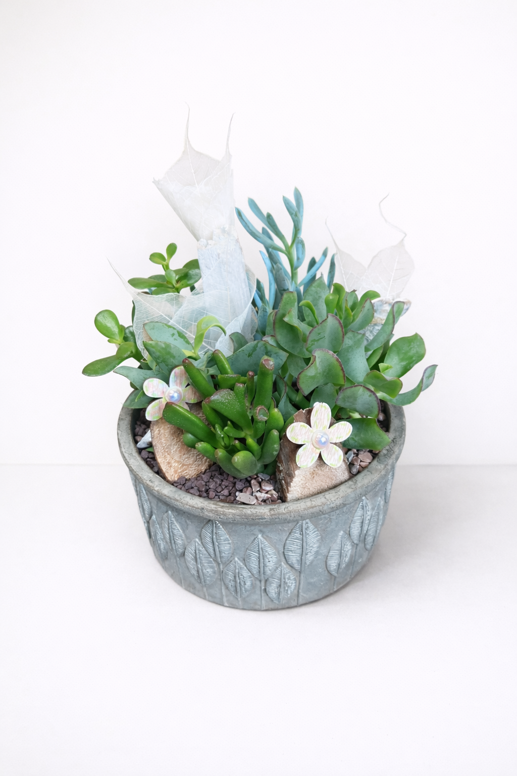 Plantes Succulentes dans un Pot Décoré