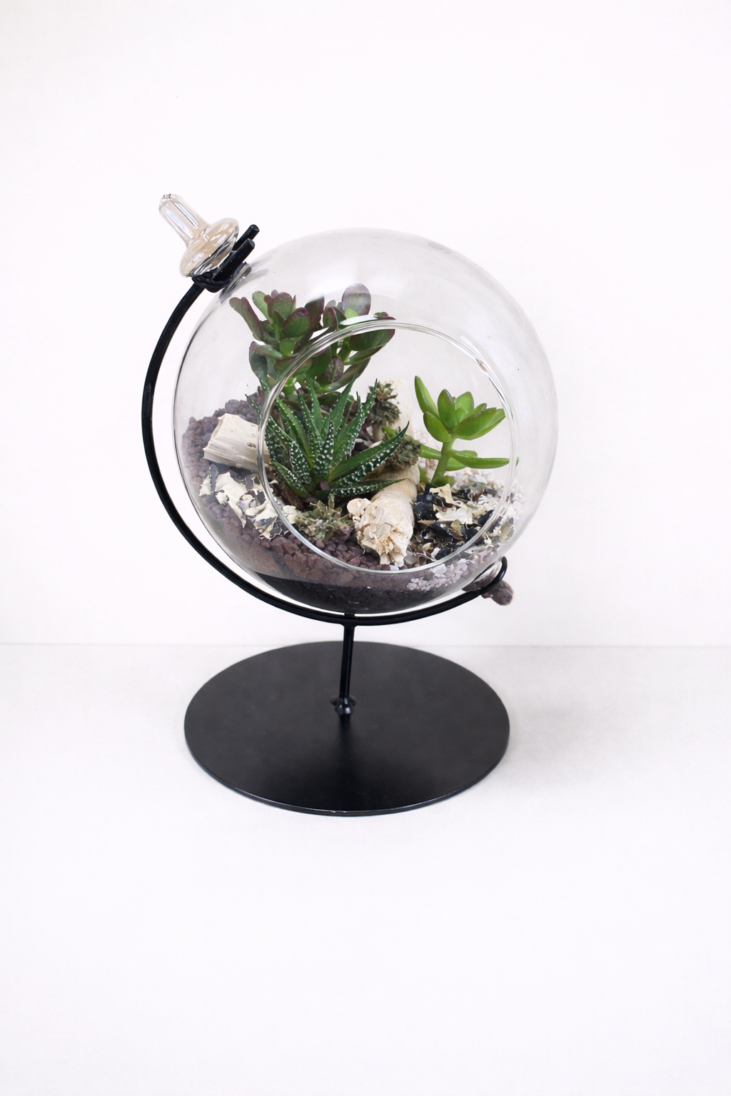 Terrarium Minimaliste avec Succulentes