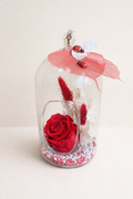 Rose sous Cloche et Herbes Séchées