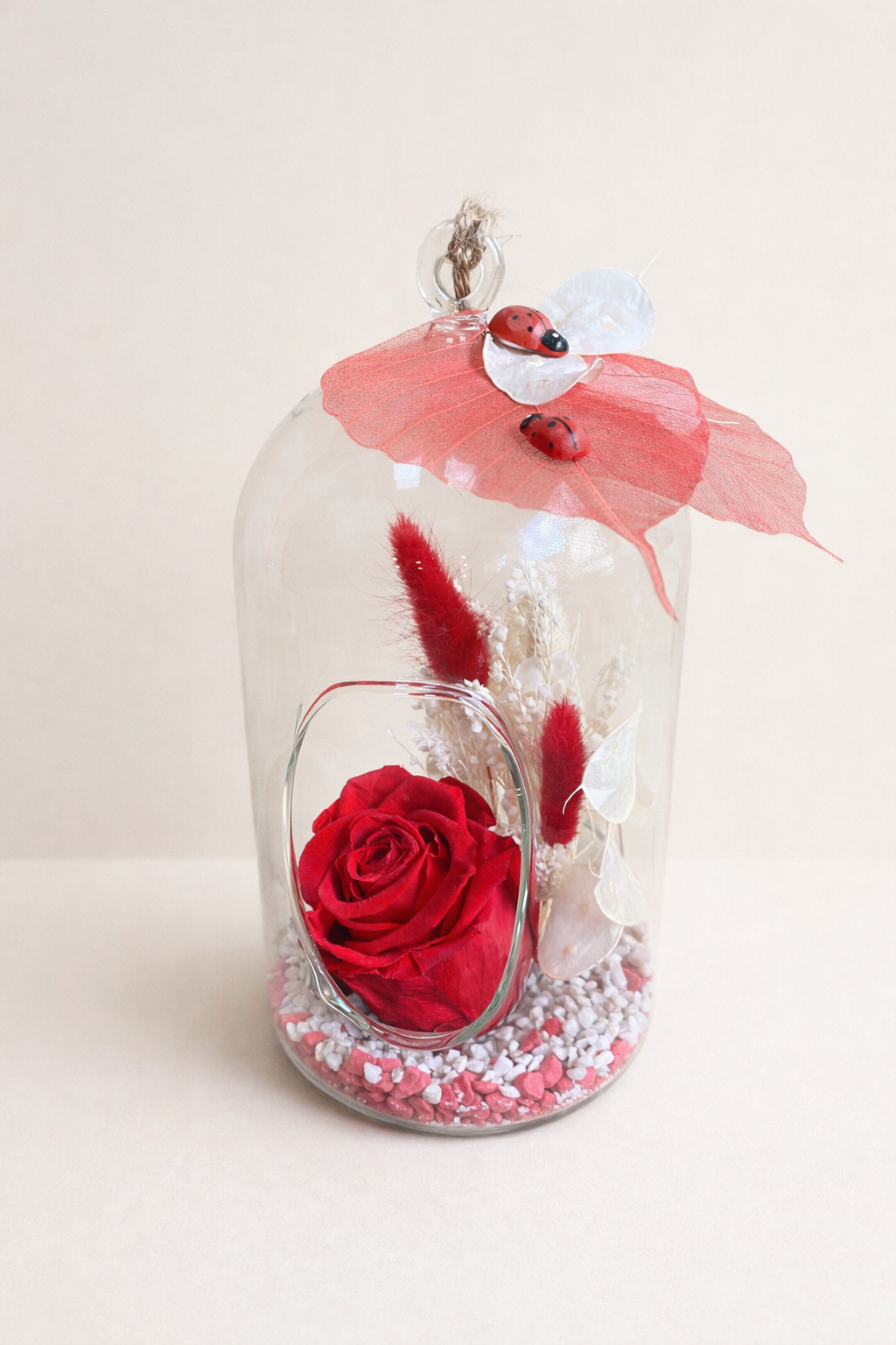 Rose sous Cloche et Herbes Séchées