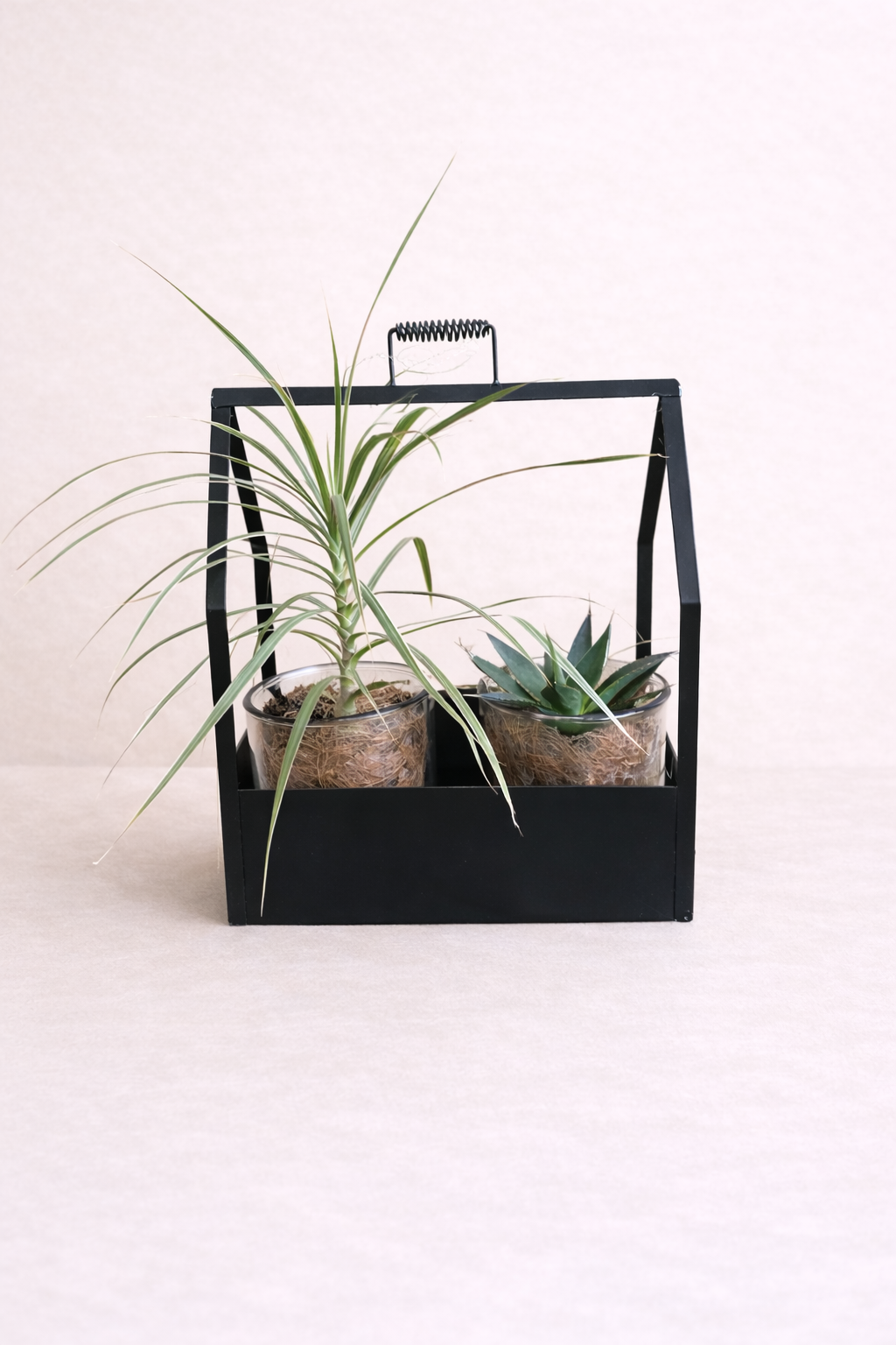 Duo de plantes vertes en support métal