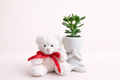 Peluche ours