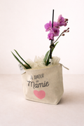 Un amour de Mamie - Orchidée Violette