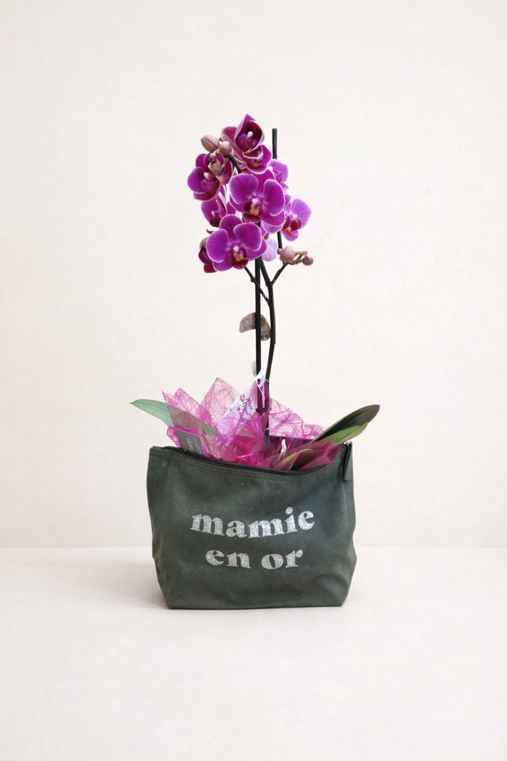 Orchidée Violette – Fête des Grands-Mères