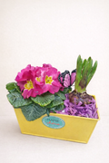 Composition florale printanière en bac décoratif