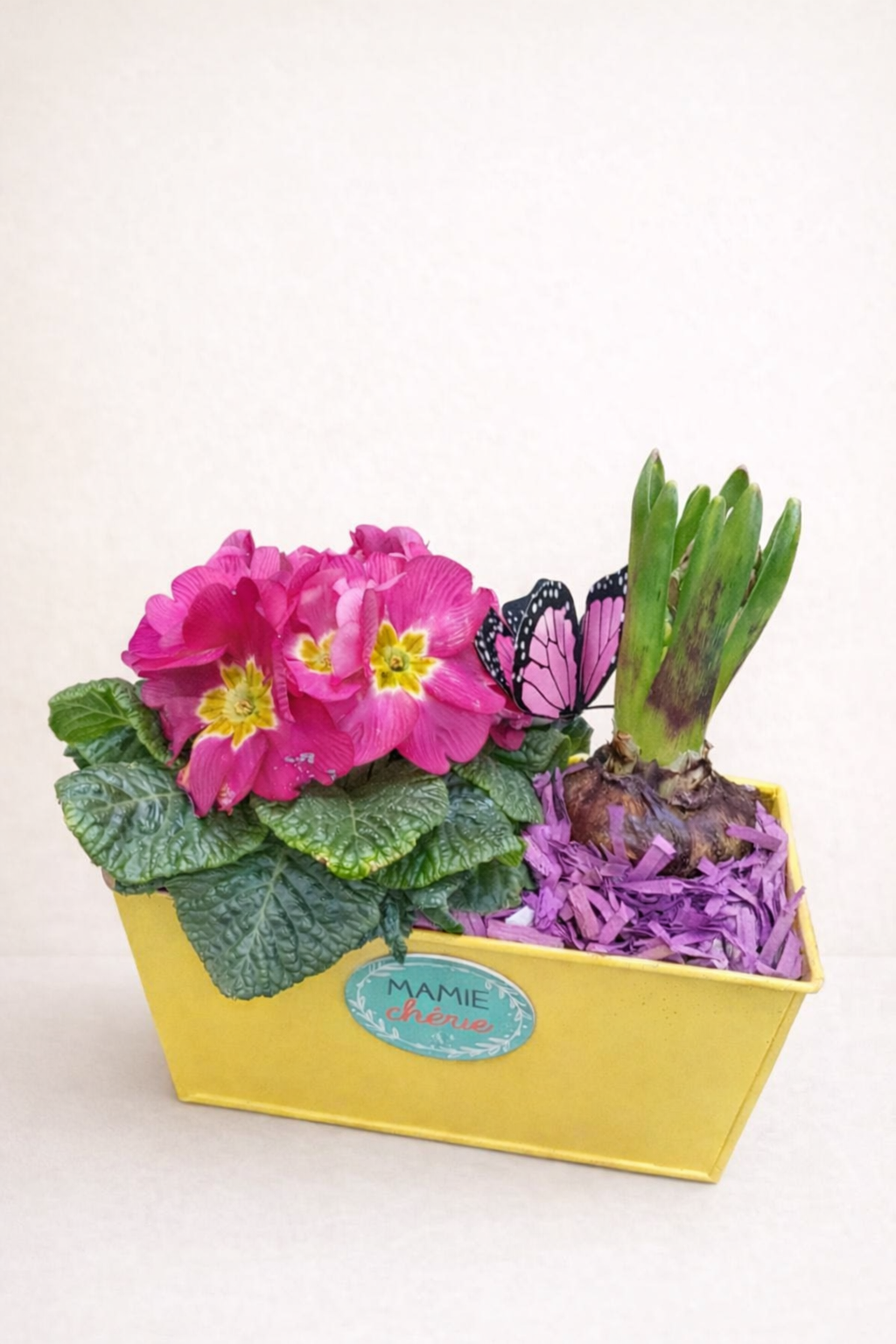 Composition florale printanière en bac décoratif