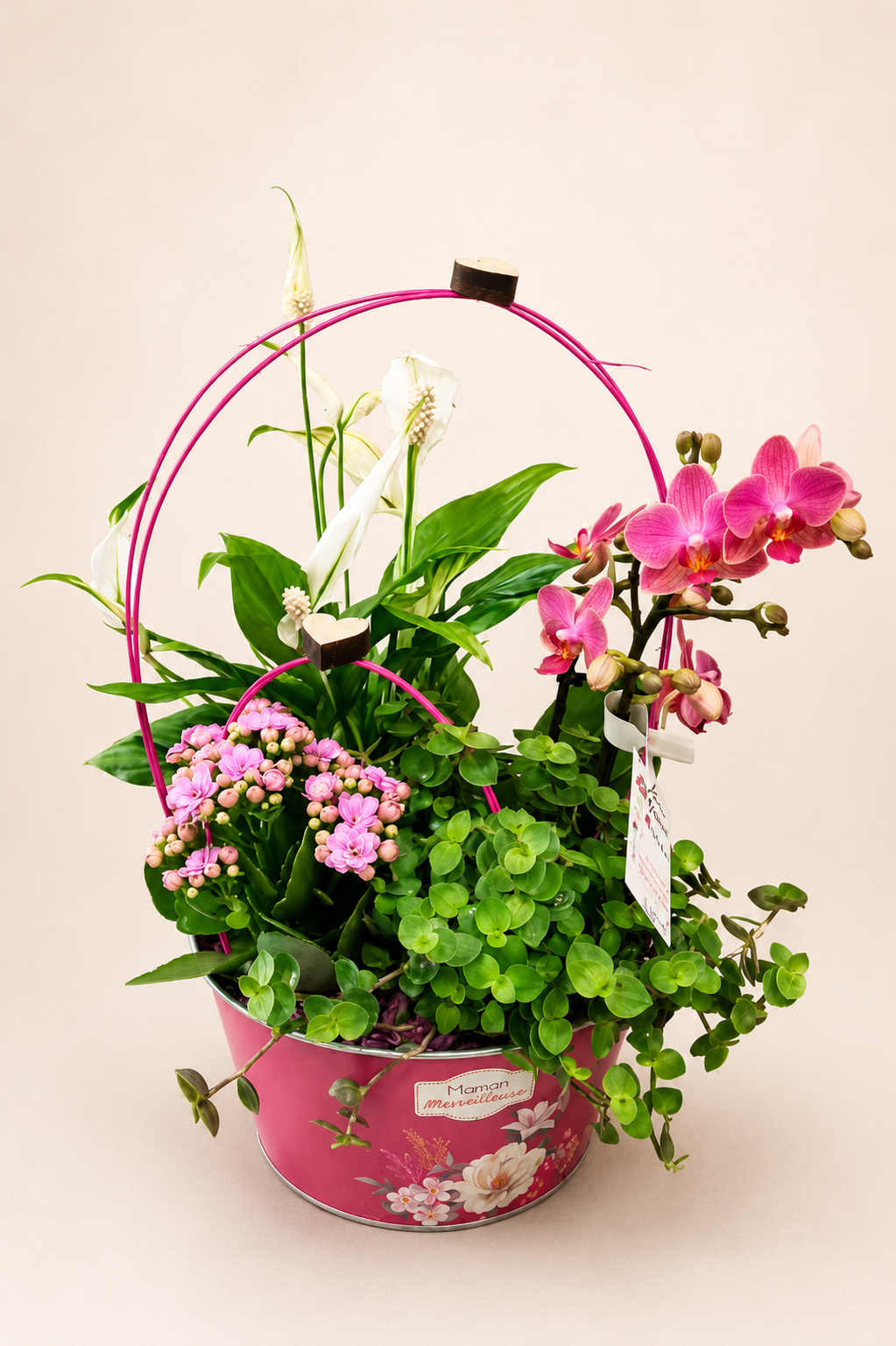 Composition plantes fleuries