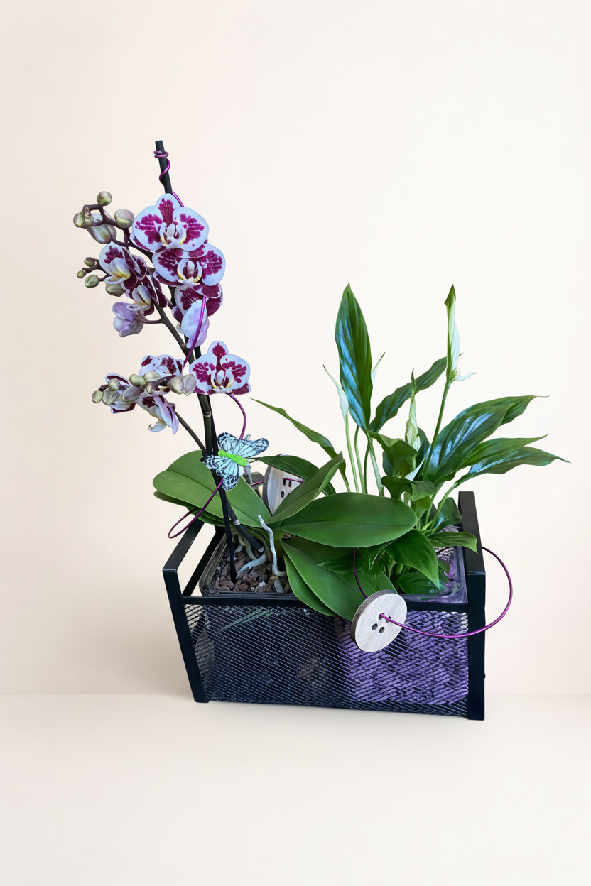 Composition orchidée et spathiphyllum avec fond beige