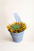 Succulente pot blanc oiseau avec fond beige