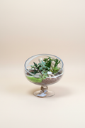 Terrarium posé au sol avec fond beige