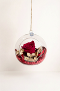 Terrarium suspendu rose éternelle avec fond beige